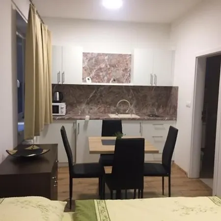 Apartmany Silvia Dunajská Streda 外观 照片