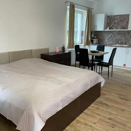 Apartmany Silvia Dunajská Streda 外观 照片