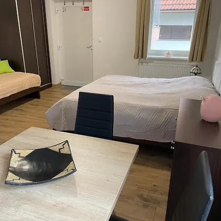 Apartmany Silvia Dunajská Streda 外观 照片
