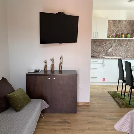 Apartmany Silvia Dunajská Streda 外观 照片