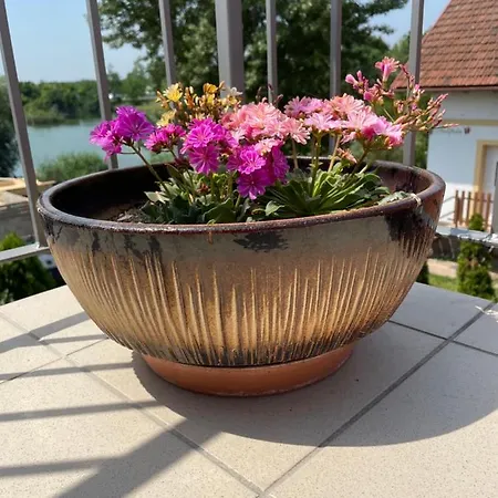 Apartmany Silvia Dunajská Streda 外观 照片