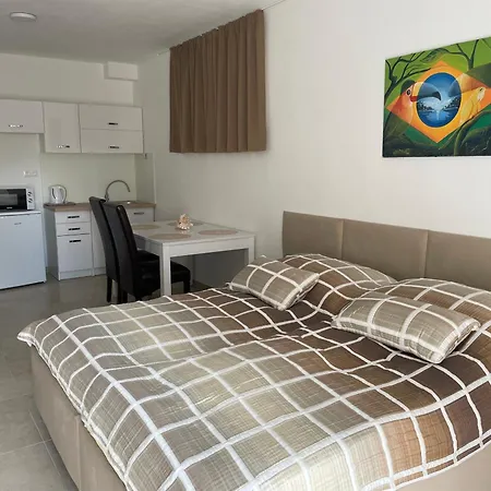 Apartmany Silvia Dunajská Streda 外观 照片